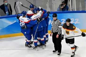 Utkání Slovensko - Německo