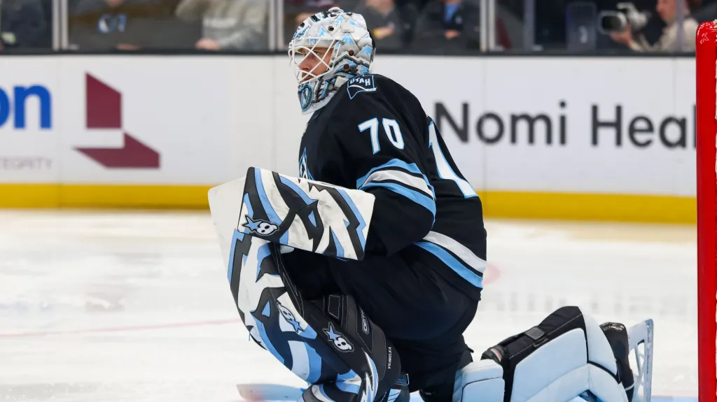 Karel Vejmelka v zápase Utahu se St. Louis