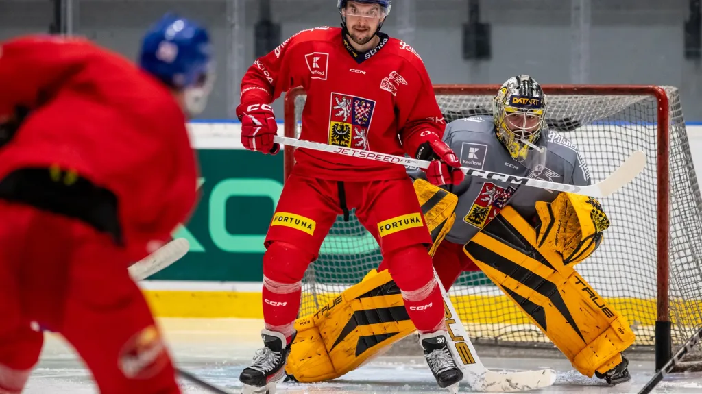 Trénink hokejové reprezentace
