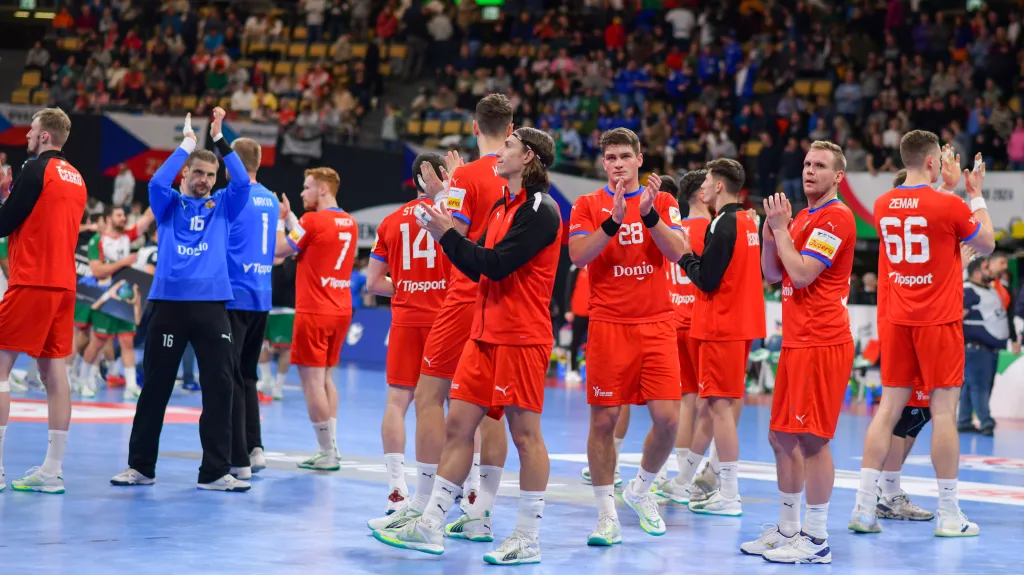 Čeští házenkáři