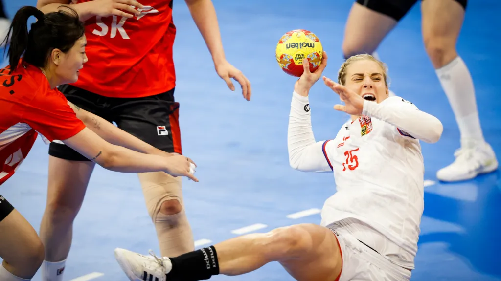 Utkání Česko - Jižní Korea