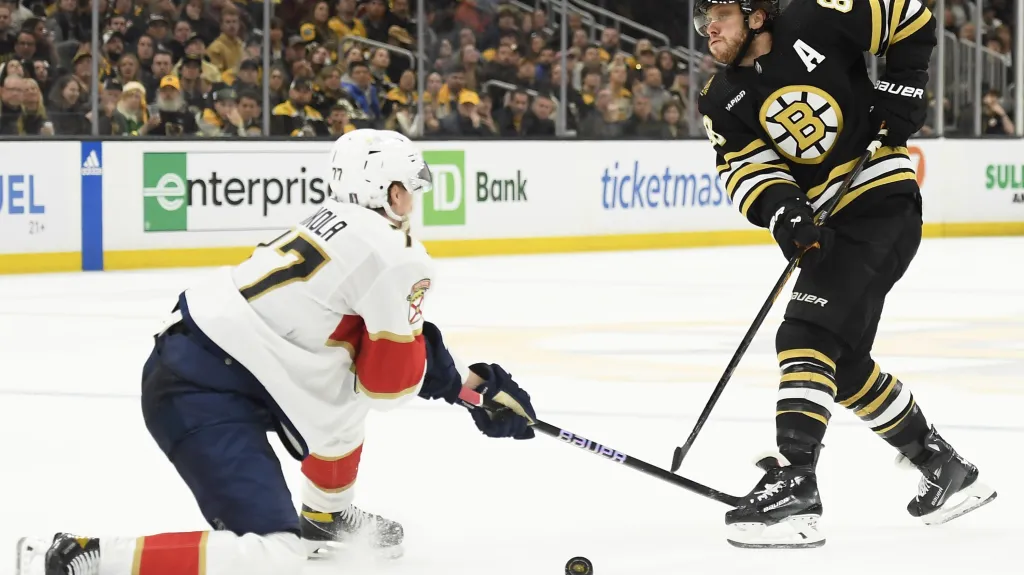 David Pastrňák v utkání s Floridou