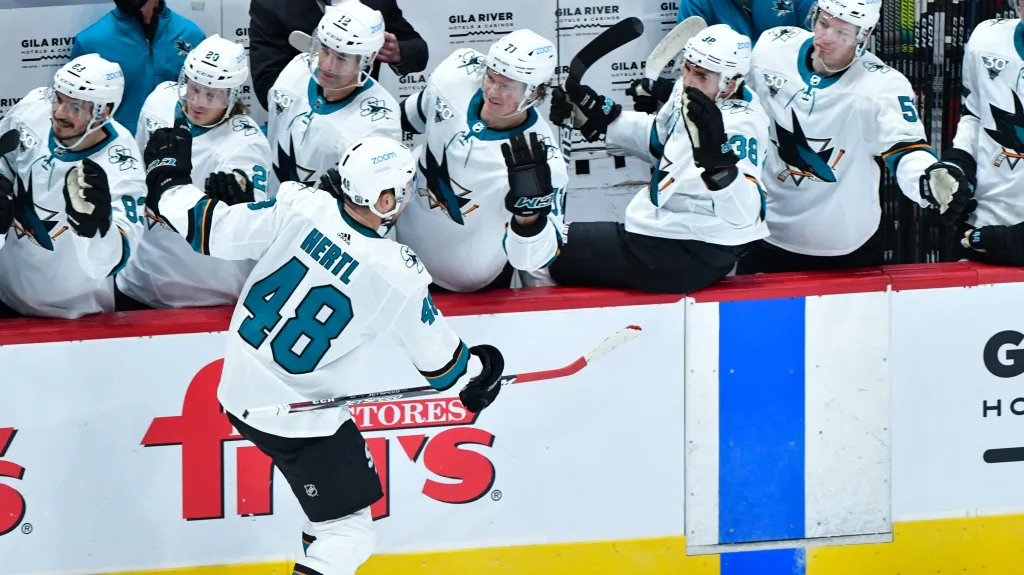 Tomáš Hertl slaví se spoluhráči ze San Jose Sharks
