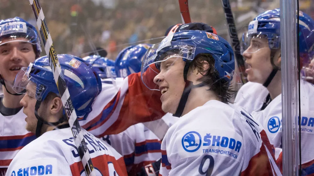 David Pastrňák v národním dresu