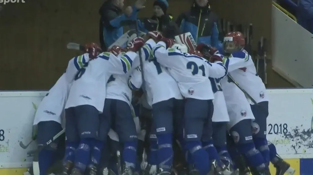 Hokejisté z Kraje Vysočina se radují z vítězství na ODM