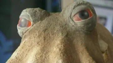 Věštecká chobotnice Paul