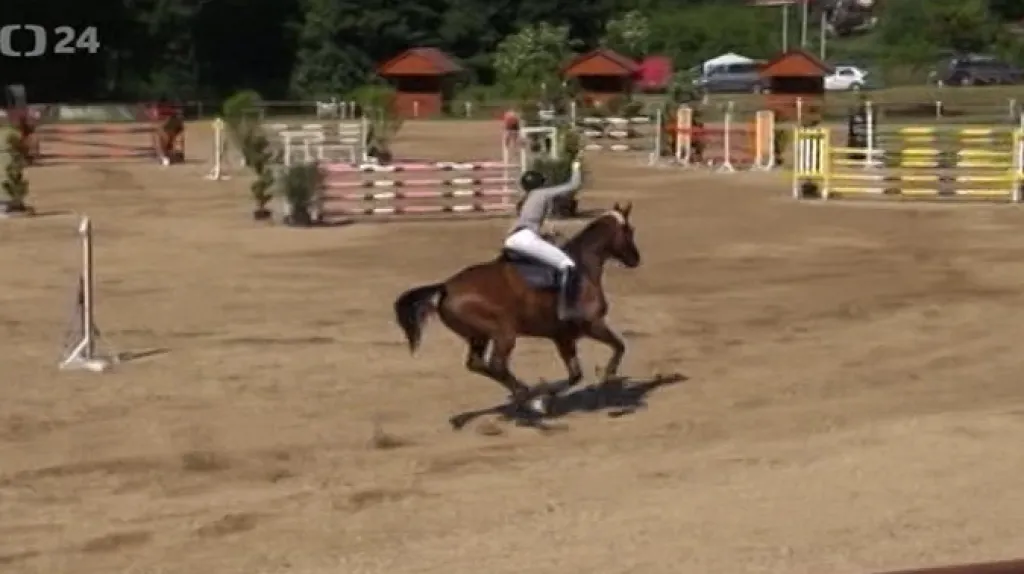 Moudrá s Lordem 27 opanovala mezinárodní závody všestrannosti v Brně