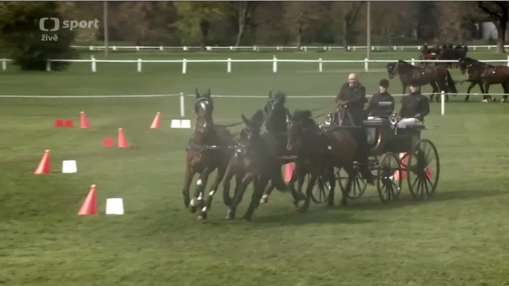 Rodina Nesvačilových zářila v Kladrubech nad Labem