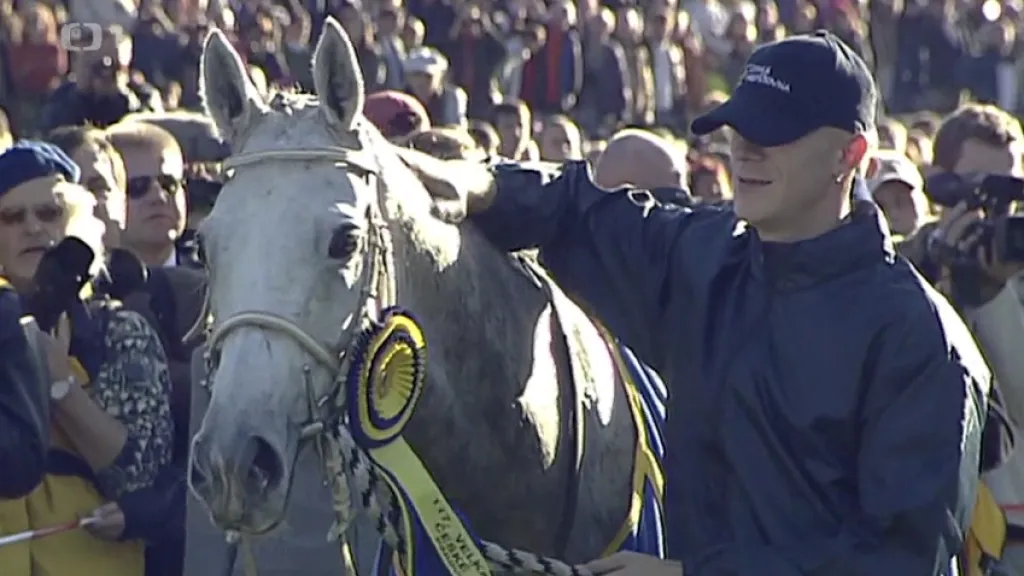 Odešla legendární klisna Sixteen
