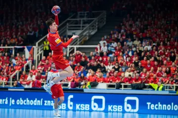 Česká reprezentace házenkářů