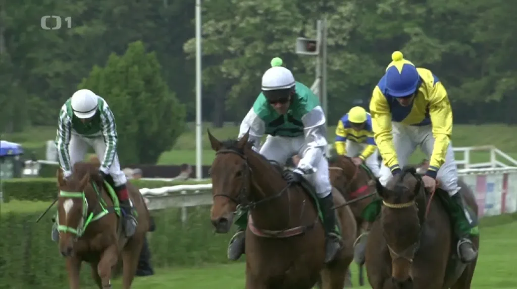 Hegnus v první kvalifikaci porazil vítěze Velké pardubické