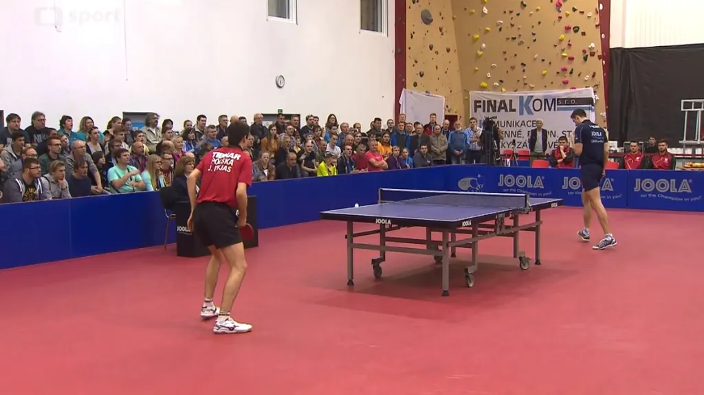 Češi podlehli Polsku těsně 2:3