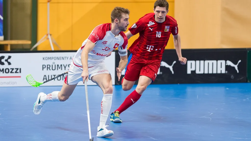 Utkání Česko - Švýcarsko