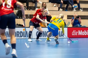 Utkání Česko – Švédsko