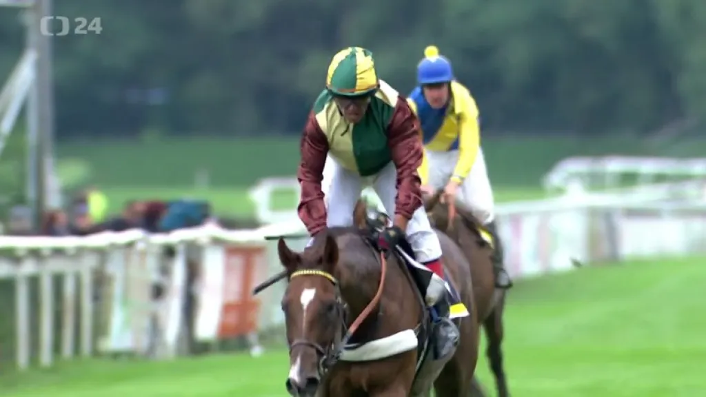 IV. kvalifikaci na Velkou pardubickou ovládl ryzák Talent