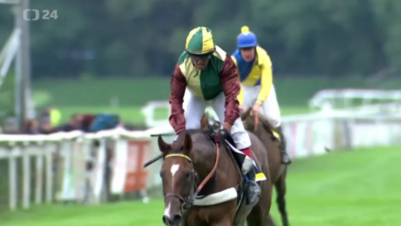 IV. kvalifikaci na Velkou pardubickou ovládl ryzák Talent