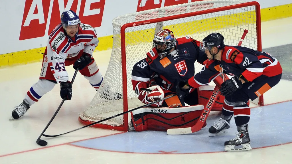 Utkání Česko - Slovensko