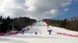 Paralelní obří slalom