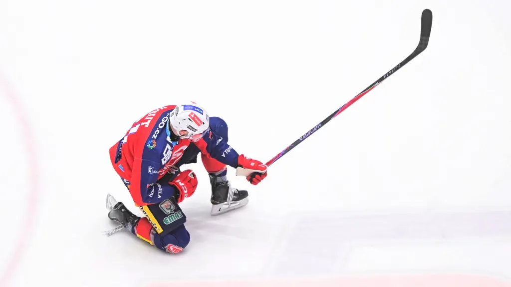 Martin Kaut se raduje z gólu v utkání HC Dynamo Pardubice – HC Kometa Brno