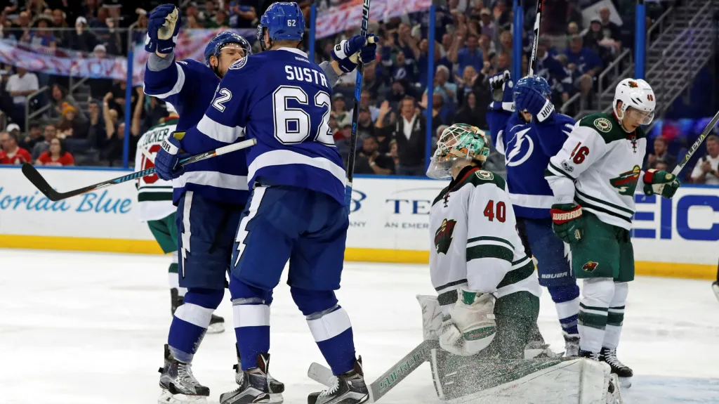 Andrej Šustr v utkání s Minnesotou