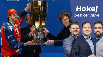 Hokej bez červené: Co dovedlo Pardubice k vytouženému titulu?