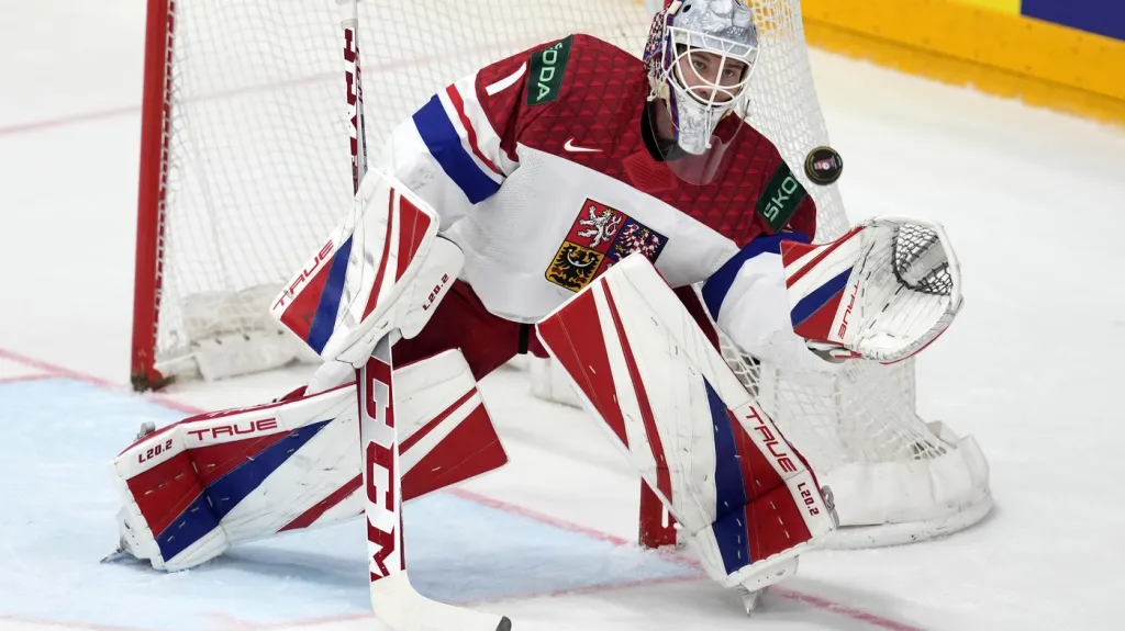 Lukáš Dostál při finále MS