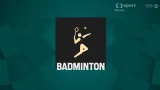 Finále dvouhry badmintonistů