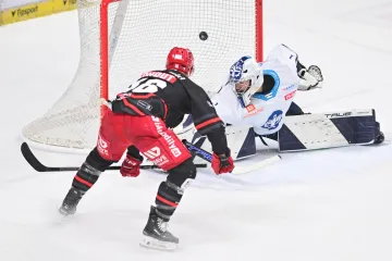 Martin Kohout proti Adamu Brízgalovi