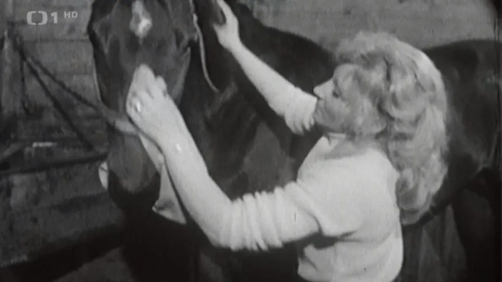 Míla Hermansdorferová-Šulcová oslavila životní jubileum