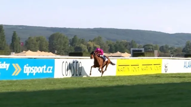 Záznam hlavního dostihu St. Leger