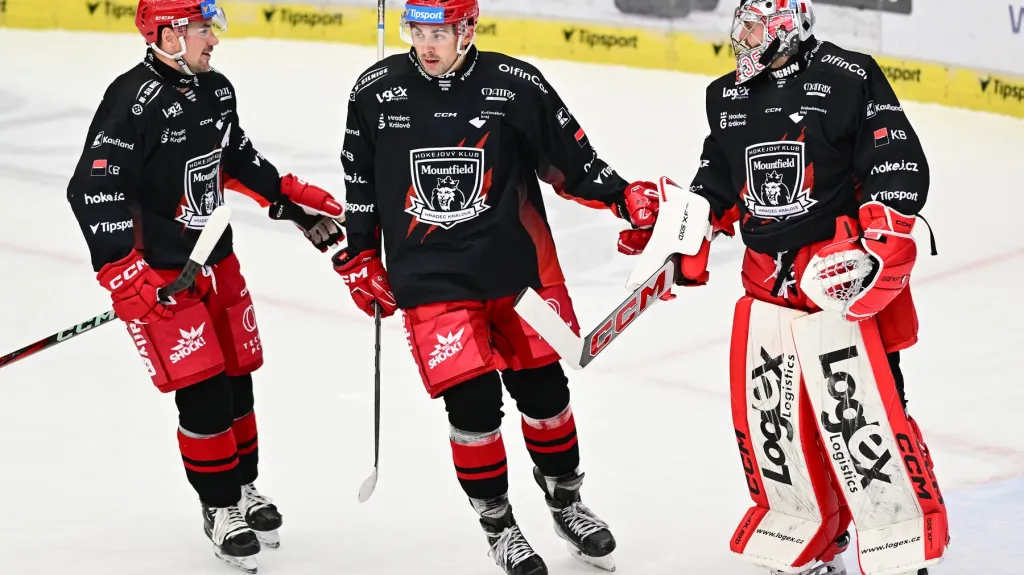 Radost hokejistů Hradce Králové