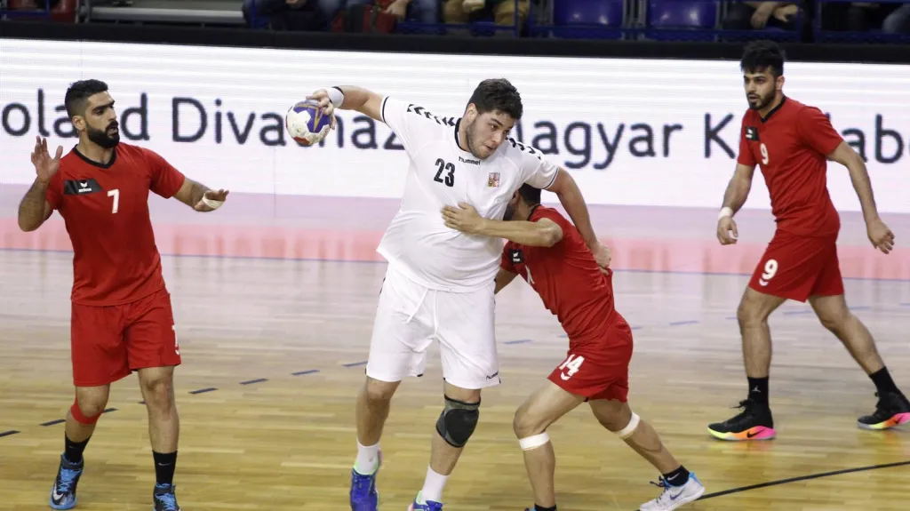 Utkání Česko - Bahrajn