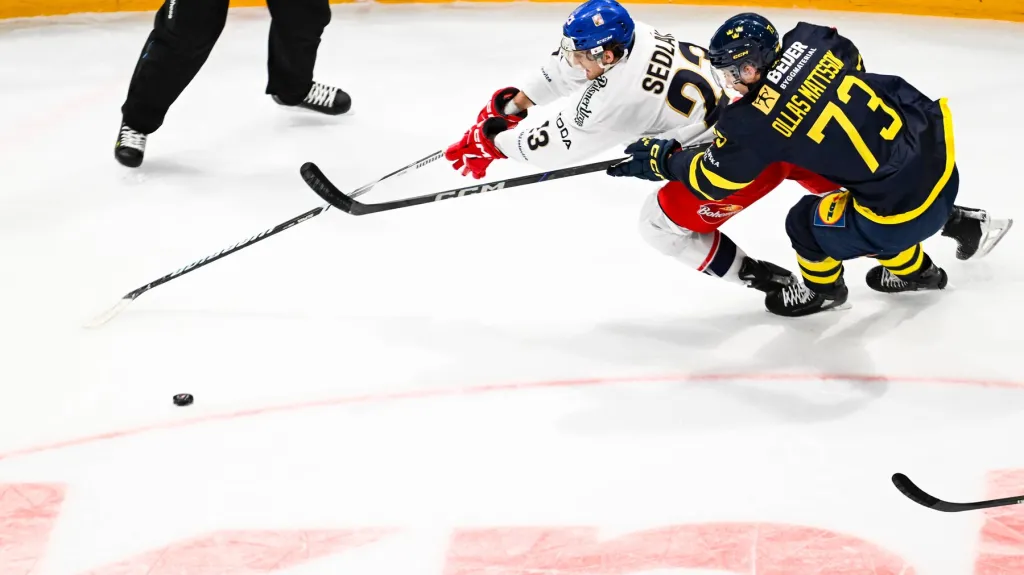 Lukáš Sedlák si kryje puk v utkání se Švédskem