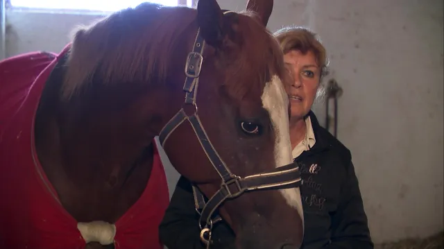 Sexy Lorda čeká obhajoba triumfu ve Velké pardubické