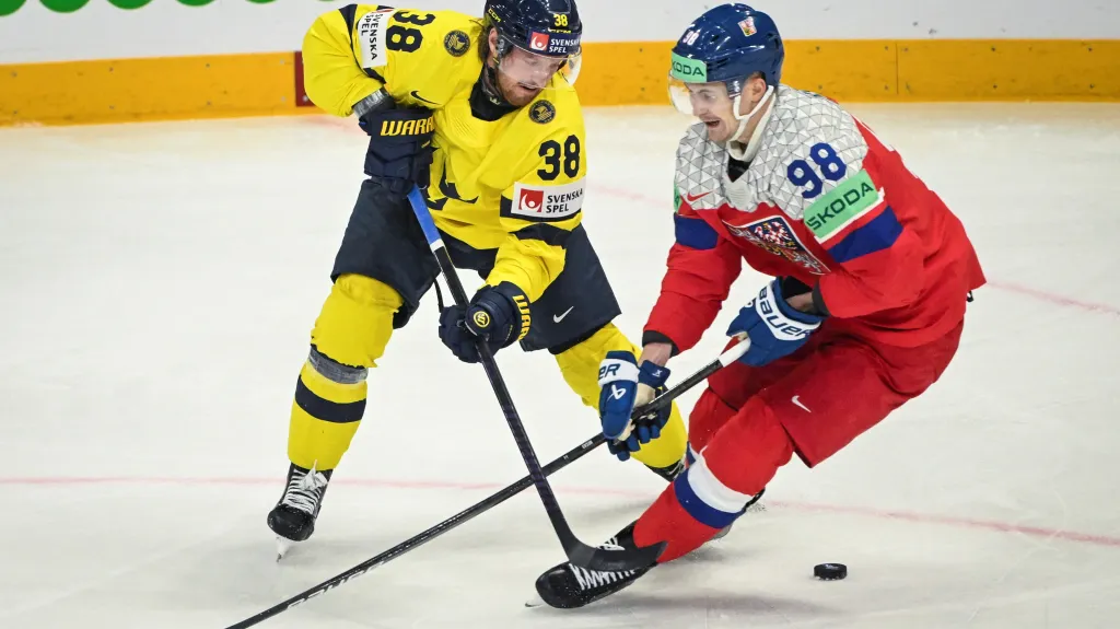 Martin Nečas v utkání proti Švédsku