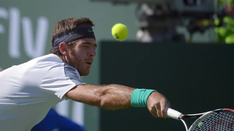 Del Potro v utkání s Djokovičem