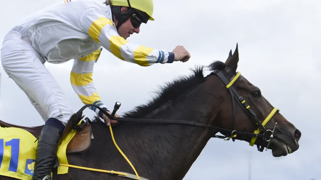 Charme Look s žokejem Faltejskem