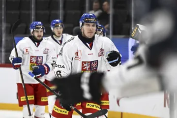 Luboš Horký slaví gól