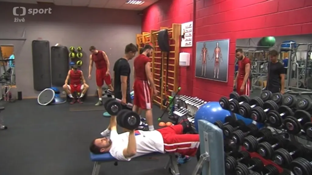 Čeští basketbalisté trénovali před duelem s Belgií hlavně střelbu