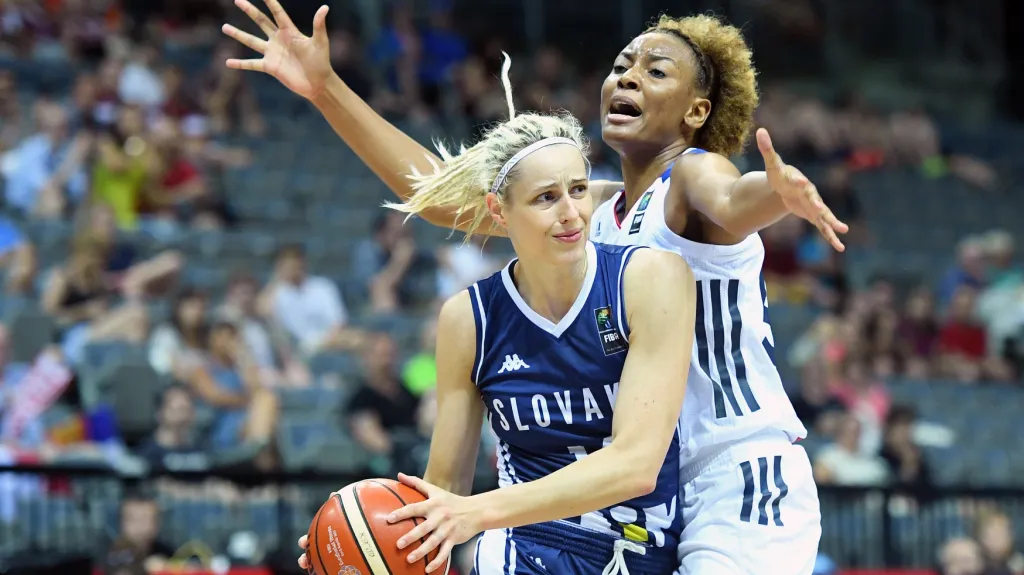 Zápas Francie - Slovensko