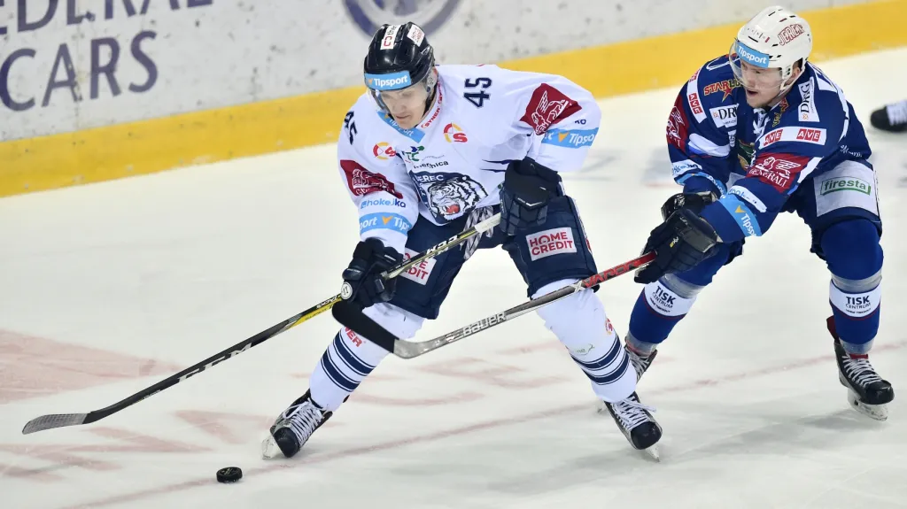 Utkání Bílí Tygři Liberec - Kometa Brno