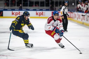 Jiří Ticháček si kryje puk v utkání se Švédy