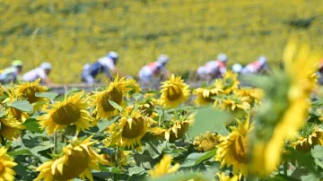 Sestřih 19. etapy Tour de France