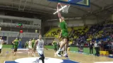 Závěr utkání basketbalistů Česko - Litva