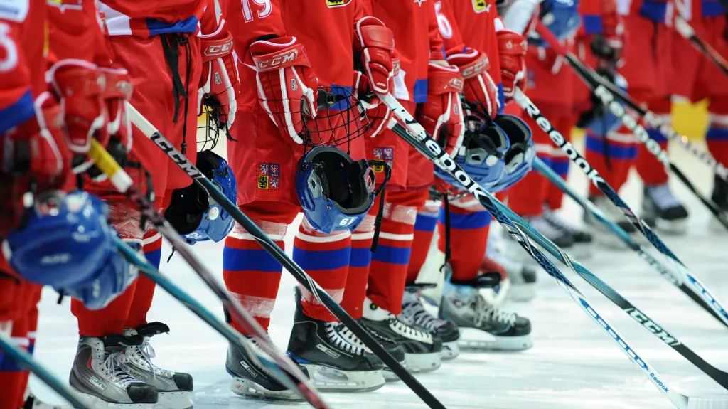 Hokejová reprezentace