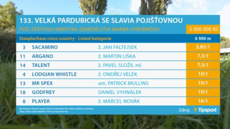 133. Velká pardubická s ohlasy