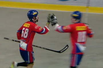 Čeští hokejbaloví reprezentanti