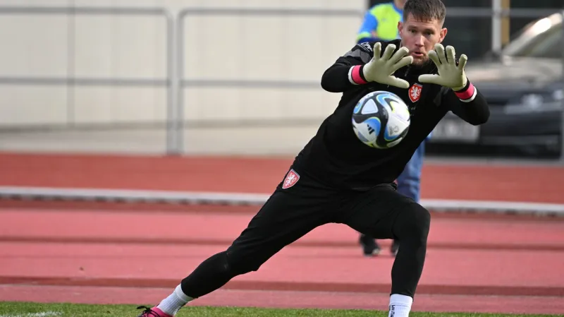 Tomáš Vaclík