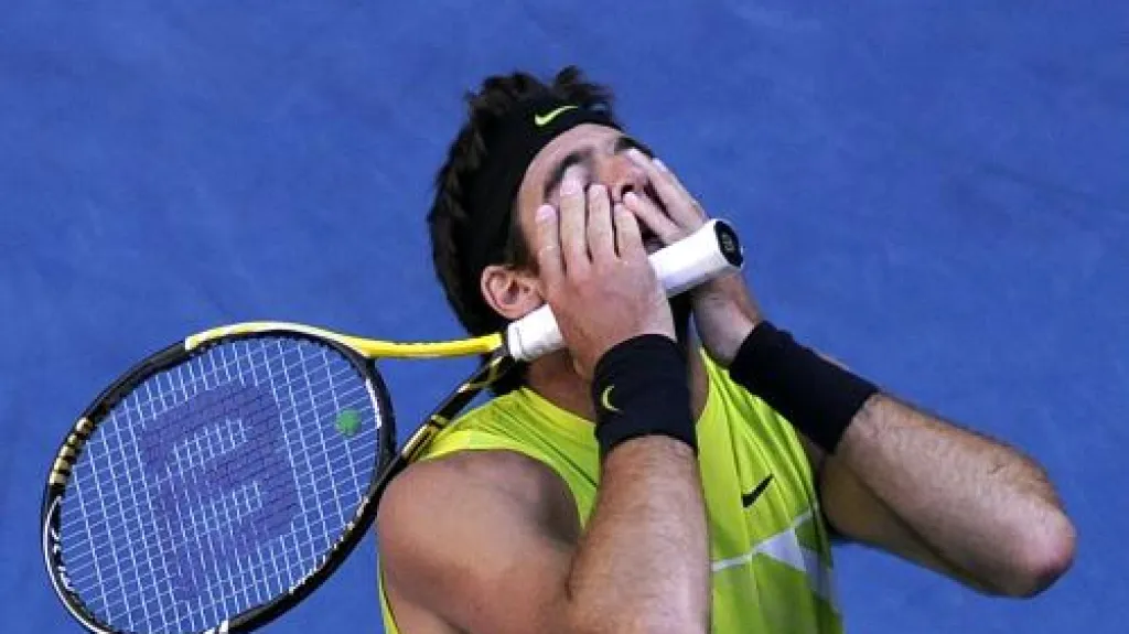 Juan Martín del Potro