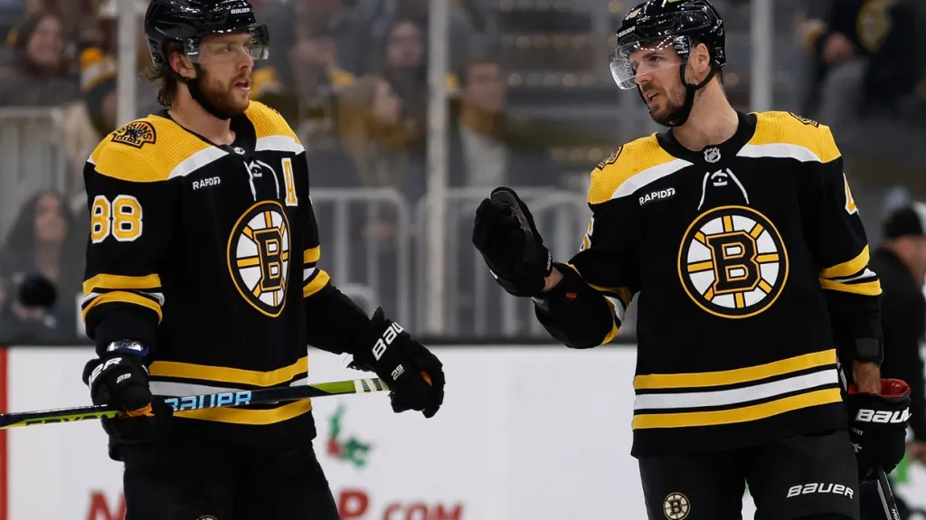 David Pastrňák a David Krejčí